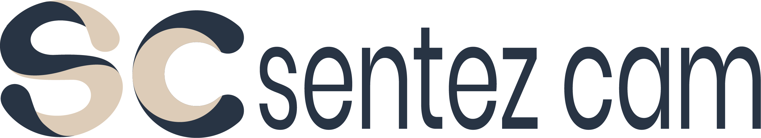 Sentez Cam